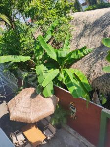 Ein Garten an der Unterkunft Phong lack Guest House