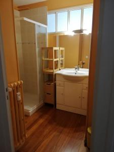 uma casa de banho com um lavatório e um chuveiro em Le Jeandrée em Annecy
