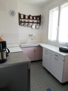 uma cozinha com um lavatório e uma bancada em Le Jeandrée em Annecy