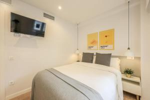a bedroom with a bed and a flat screen tv at AmazINN Places Blasco de Garay 105 in Madrid