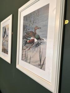 a framed painting of two ducks in the water on a wall at The Lodge at Salhouse in Norwich