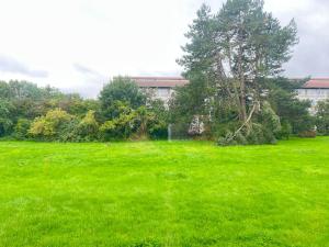 a field of green grass with a tree and a building at Two Bedroom Apartment In Rdovre, Trnvej 39a, in Rødovre