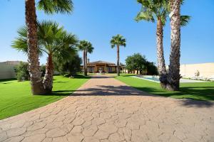 a driveway with palm trees in front of a house at Villa Juani in Chiclana de la Frontera