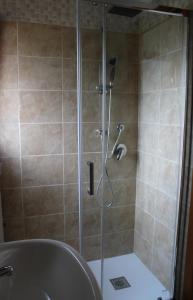 a shower with a glass door in a bathroom at La collina degli ulivi in Conocchia