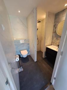 a bathroom with a toilet and a sink at De Platwever 3B in Zelhem