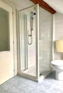 uma casa de banho com um chuveiro e um WC. em Casa Gaia em Albissola Marina