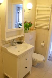 uma casa de banho com um lavatório, um WC e um espelho. em Apartament Kwiatowa 3/22 em Poznań