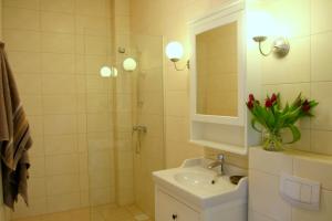 y baño con lavabo y ducha con espejo. en Apartament Kwiatowa 3/22, en Poznan