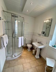 a bathroom with a shower and a toilet and a sink at HEINRICHs winery bed & breakfast in Langenlonsheim