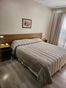 1 dormitorio con 1 cama grande y cabecero de madera en DAKAR HOTEL en Mendoza