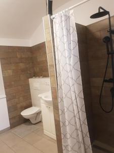 a bathroom with a shower curtain and a toilet at Apartmán Uršula in Jáchymov
