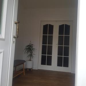 um quarto com portas e uma planta com vasos em Apartmán Uršula em Jáchymov