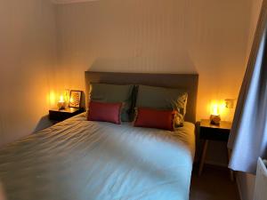 een slaapkamer met een bed met twee lampen erop bij Chalet de Vinck in Diever in Diever