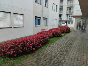 a row of red flowers in front of a building at Alcimar Zuzo in Mogi das Cruzes