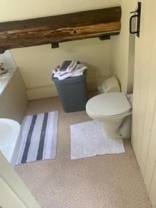 a bathroom with a toilet and a sink and a trash can at Becs in Leominster