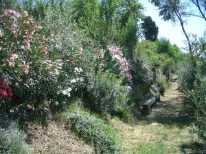 A garden outside Gli Oleandri