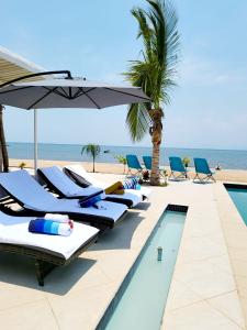 a row of lounge chairs next to a swimming pool with the ocean at Lake-front Delux home in Mponda