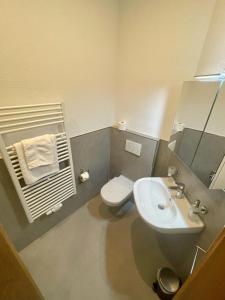 ザールルイにあるLothringer Hofのバスルーム(洗面台、トイレ、鏡付)
