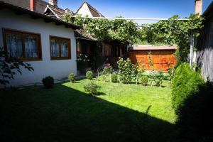 un patio trasero con césped verde en Casa Adina Sibiel, en Sibiel