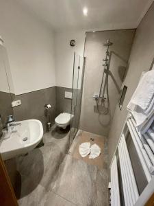 uma casa de banho com um chuveiro, um WC e um lavatório. em Lothringer Hof em Saarlouis