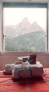 a room with a window with a view of a mountain at Excelsior Hotel Cimone LowCost in San Martino di Castrozza