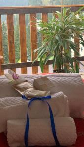 a pile of towels sitting on a balcony with a plant at Excelsior Hotel Cimone LowCost in San Martino di Castrozza