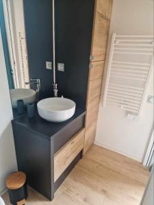 ein Badezimmer mit einem weißen Waschbecken und einem Spiegel in der Unterkunft Le p’tit tram in Cancale