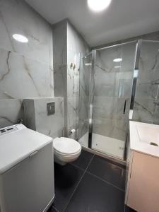 een badkamer met een douche, een toilet en een wastafel bij Petite France Apartment Strasbourg in Straatsburg