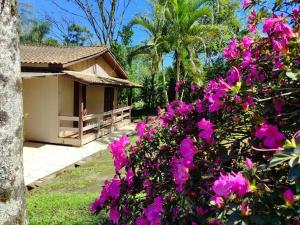 a bush with pink flowers in front of a house at Casa do Atelier: Vida simples, lugar para relaxar in Treviso