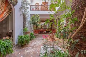 a courtyard with plants in a building at Riad Sable Chaud in Marrakesh