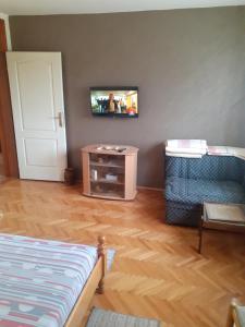 a living room with a tv on a wall at Apartman Stankovic in Arandelovac