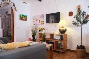 - un salon avec un canapé et une télévision dans l'établissement Cuarto Teide Apartamento Santo Domingo, à La Guancha