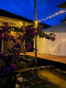 a garden with a pond with flowers and lights at Domo Glamping Kalpavriksha - Jostcolombia in La Vega