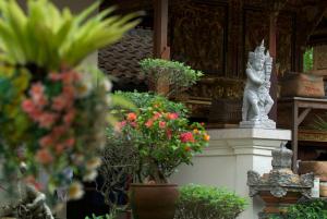 Zahrada ubytování Narda House Ubud