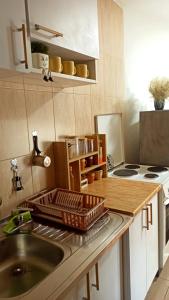 a kitchen with a sink and a dish rack on the counter at Martha`s place Drač in Podgorica