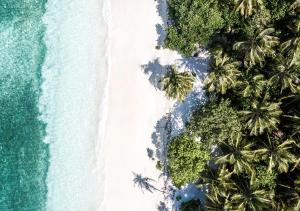 una vista aérea de una playa con palmeras y el océano en Tropical Tree en Fehendhoo
