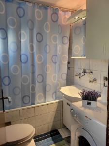 a bathroom with a toilet and a shower curtain at Green Garden Apartments in Surčin +27 photos