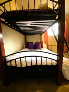 um beliche com almofadas roxas em cima em Spanish Style 3-bedroom Home with Hot Tub em Indianápolis