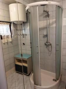 y baño con ducha y puerta de cristal. en Apartment Josipa 1 en Premantura