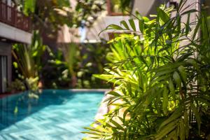 Bazén v ubytování December Hoi An Villa nebo v jeho okolí