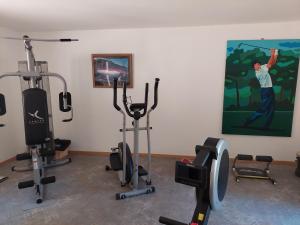 a gym with several exercise bikes and a painting at Domaine du Bois Noir in Milhac