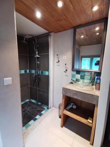 a bathroom with a shower and a sink at Gîte Au Jardin in Meilhan-sur-Garonne
