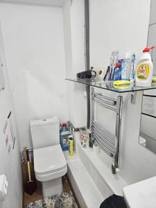 a small bathroom with a toilet and a shelf at Апартаменты с трансфером in Chişinău