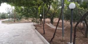 Κήπος έξω από το Dependance Villa Grazia