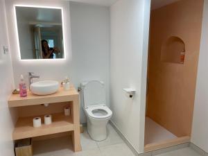 邦多勒的住宿－La naronne，一间带卫生间、水槽和镜子的浴室