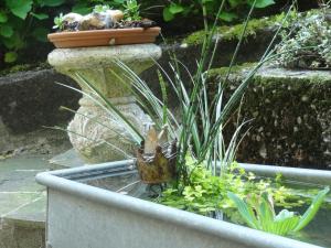 Billede fra billedgalleriet på Haus Gnigl i Salzburg + 23 billeder