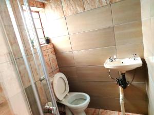 a bathroom with a toilet and a sink at Zikora in Pretoria