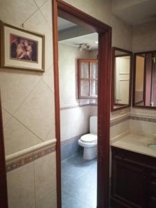 a bathroom with a toilet and a sink and a mirror at Nomads Buenos Aires in Bella Vista