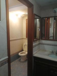 y baño con aseo, lavabo y espejo. en Nomads Buenos Aires en Bella Vista
