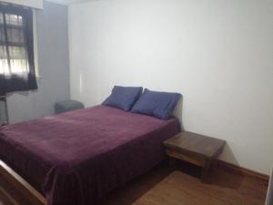 貝拉維斯塔的住宿－Nomads Buenos Aires，一间卧室配有一张带蓝色枕头的床。